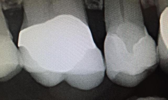 Formosa Dental Arts provider photo