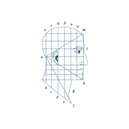 Denenberg Facial Plastic Surgery logo