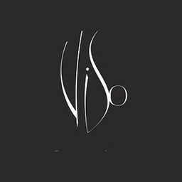 Viso Bespoke Aesthetics logo